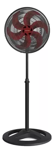 Cone